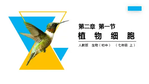 《植物细胞》PPT精品课件