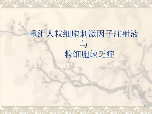 重组人粒细胞刺激ppt课件