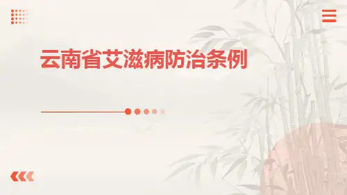 云南省艾滋病防治条例培训课件模板