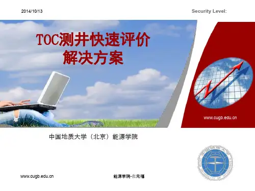 TOC测井评价解决方案