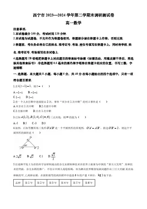 青海省西宁市2023-2024学年高一下学期期末调研测试数学试卷(含答案)