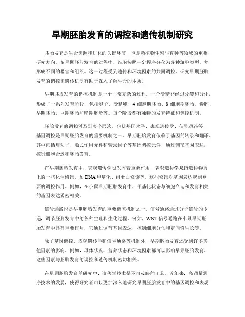 早期胚胎发育的调控和遗传机制研究
