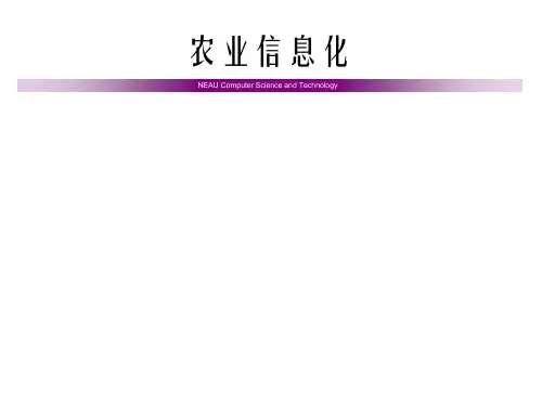 农业信息化