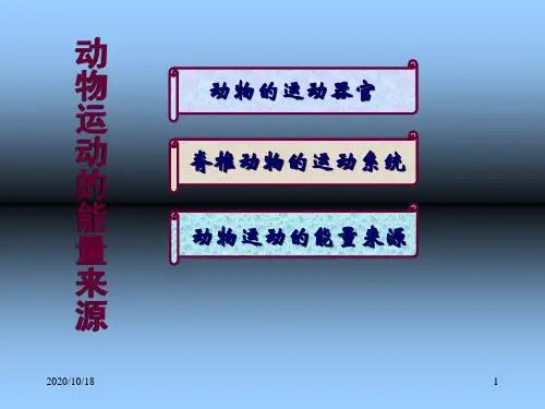 16.2 动物运动的能量来源(第2课时)PPT优选课件