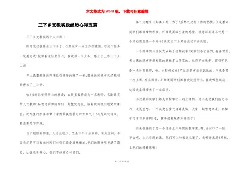 三下乡支教实践经历心得五篇