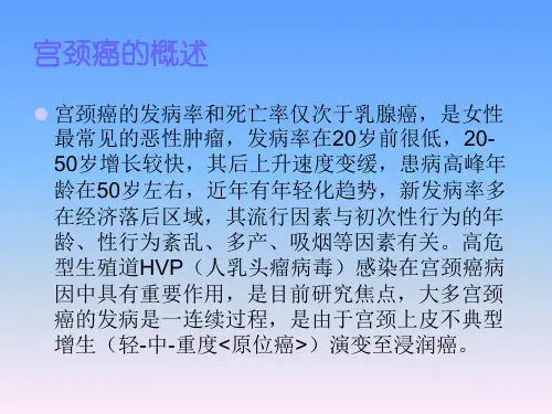宫颈癌术后放疗病人护理查房