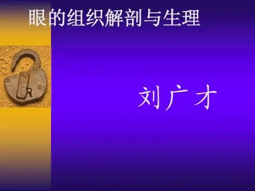 眼的组织解剖与生理