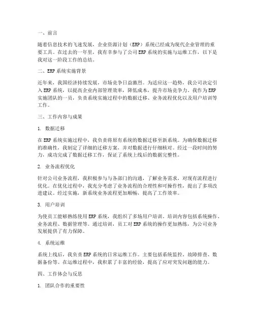 个人erp工作总结范文