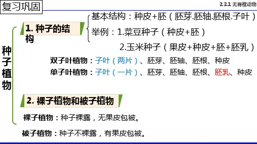 2.2.1无脊椎动物课件-2024--2025学年人版生物七年级上册