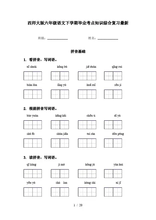 西师大版六年级语文下学期毕业考点知识综合复习最新