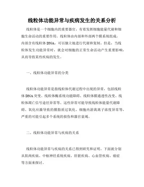 线粒体功能异常与疾病发生的关系分析