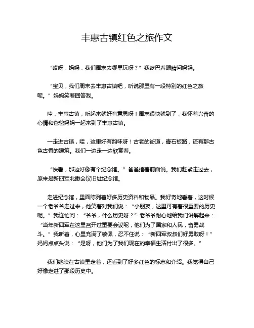 丰惠古镇红色之旅作文
