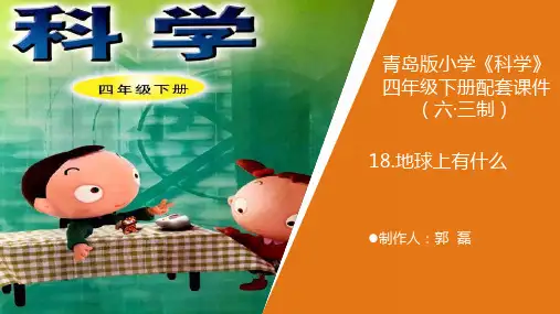 四年级下册科学课件18.《地球上有什么》青岛版(共16张PPT)