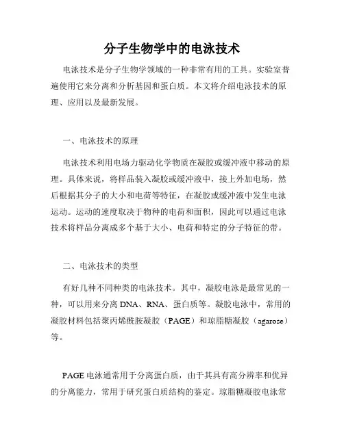 分子生物学中的电泳技术