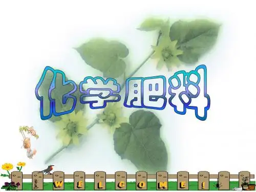 课题2.化学肥料(公开课)