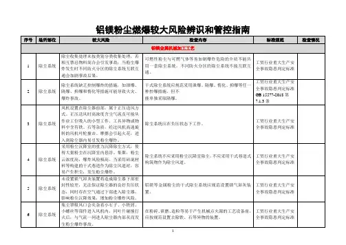 铝镁粉尘燃爆较大风险辨识和管控指南