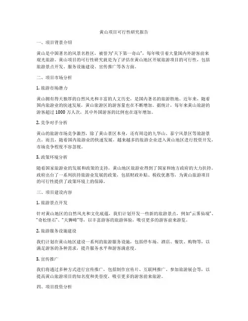 黄山项目可行性研究报告