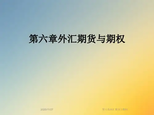 第六章外汇期货与期权