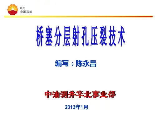 桥塞分层射孔压裂技术