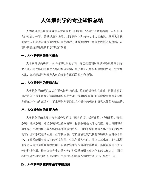 人体解剖学的专业知识总结
