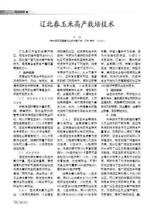 辽北春玉米高产栽培技术