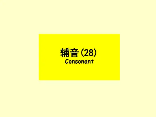 辅音PPT(28)