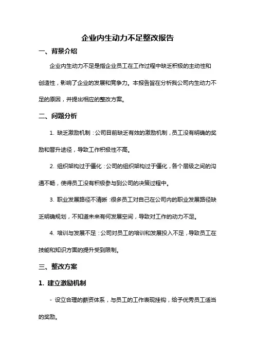 企业内生动力不足整改报告