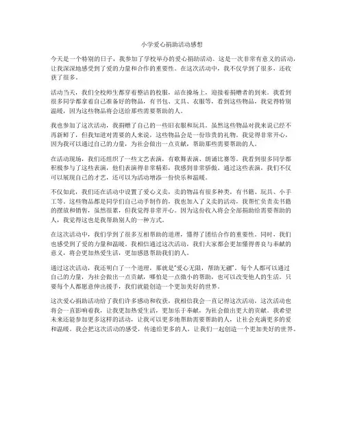 小学爱心捐助活动感想