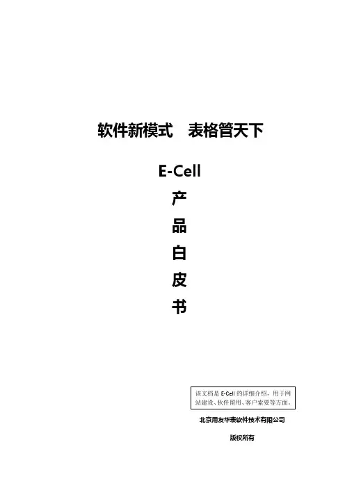 用友华表E-cell产品白皮书