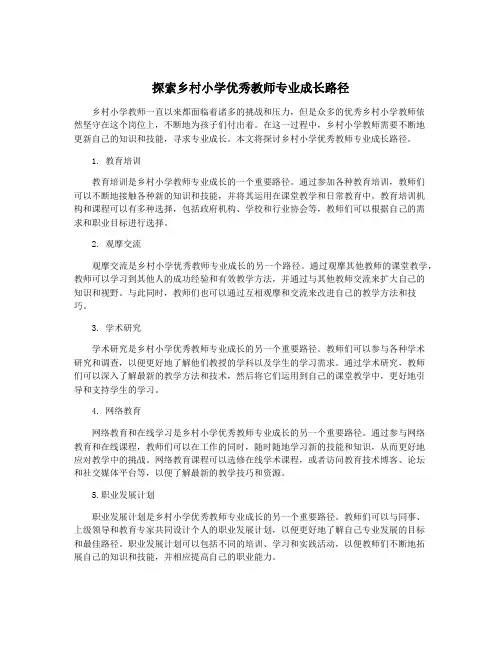 探索乡村小学优秀教师专业成长路径