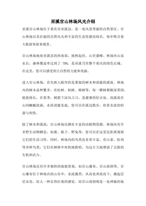 巫溪官山林场风光介绍