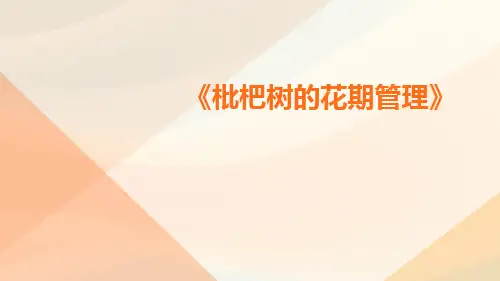 枇杷树的花期管理