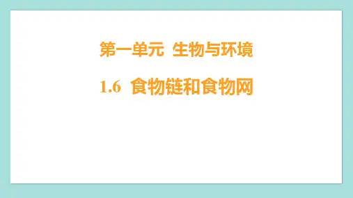《食物链和食物网》PPT免费课件