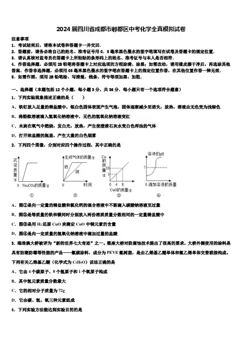 2024届四川省成都市郫都区中考化学全真模拟试卷含解析