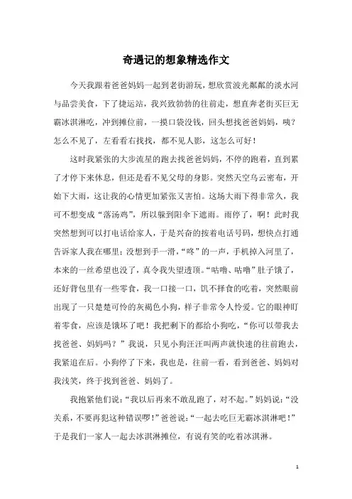 奇遇记的想象精选作文