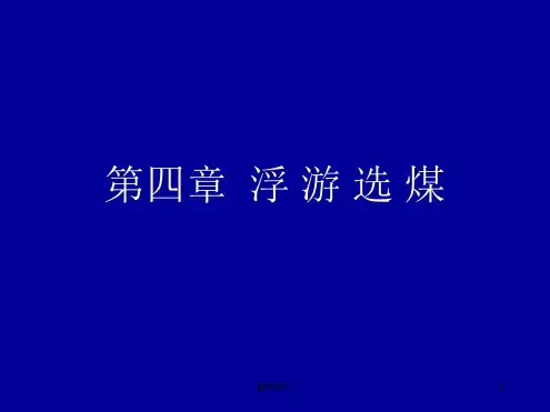 浮游选煤 课件