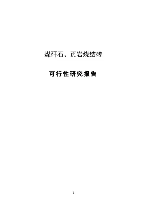 煤矸石、页岩烧结砖项目可行性报告
