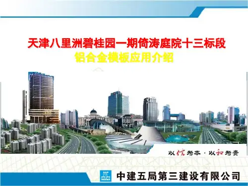 天津项目铝合金模板应用案例分享