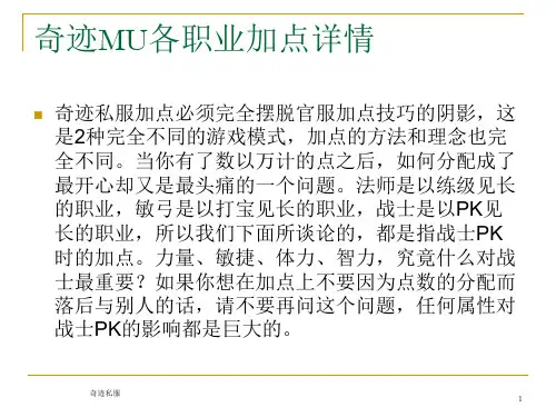 奇迹MU各职业加点详细