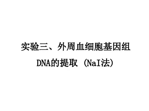 实验三 细胞外周血DNA的提取