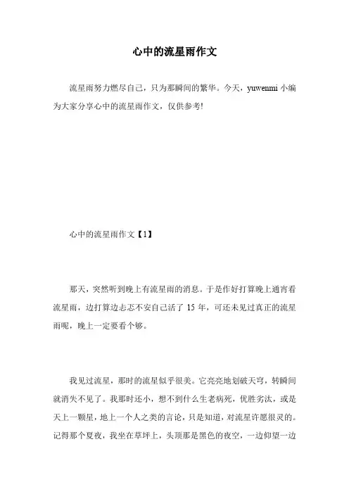 心中的流星雨作文.doc