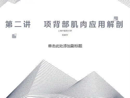 项背部肌肉应用解剖