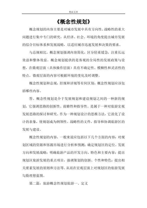 《概念性规划》