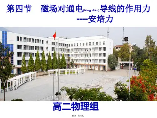 3.4《安培力》(共29张)