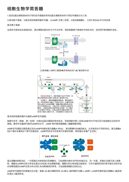 细胞生物学简答题