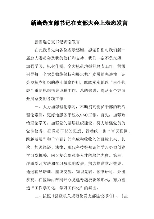 新当选支部书记在支部大会上表态发言