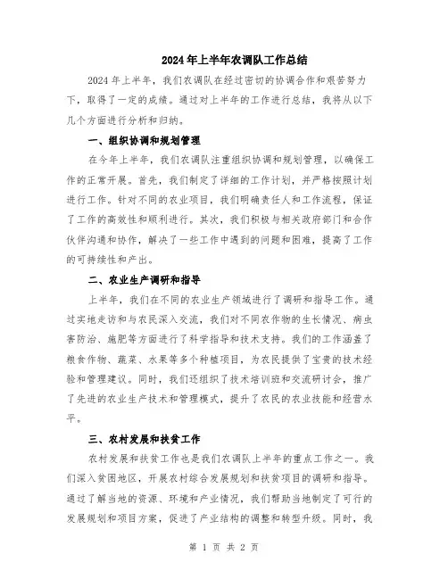 2024年上半年农调队工作总结