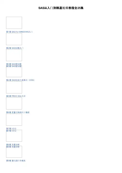 SAS从入门到精通视频教程全25集