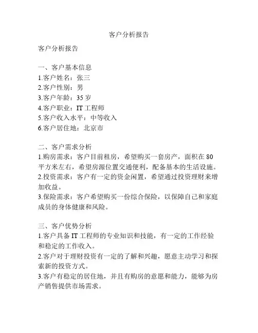 客户分析报告