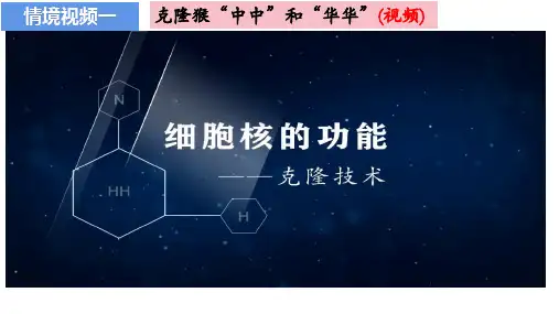 细胞核的结构和功能ppt课件